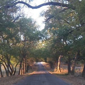 Meet your Posher, Bobby